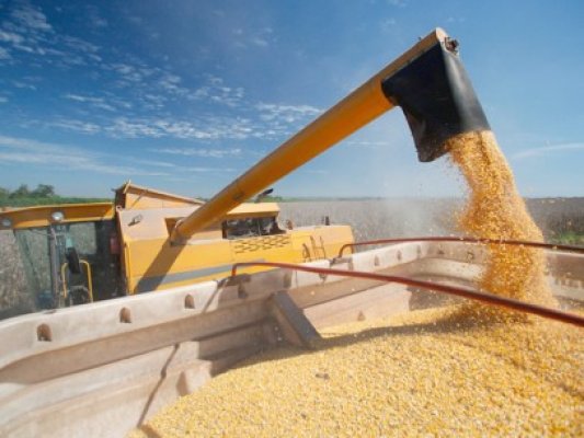 Umex va realiza un terminal de cereale în Dana 44